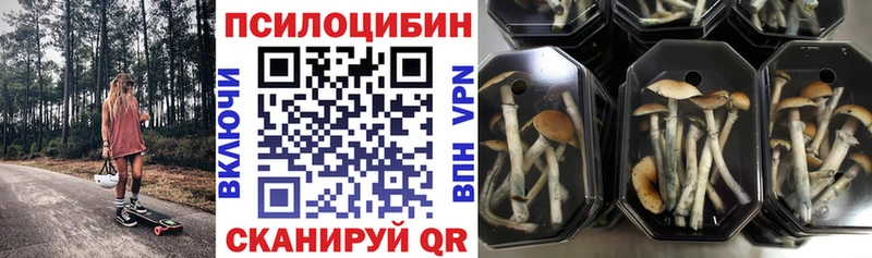 магазин продажи наркотиков  Валдай  Псилоцибиновые грибы мухоморы 